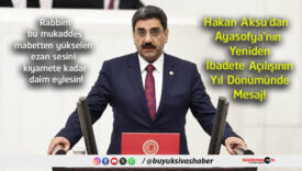 eylesin