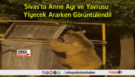 görüntülendi