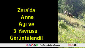 görüntülendi