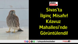 görüntülendi