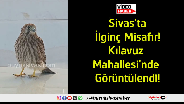 görüntülendi