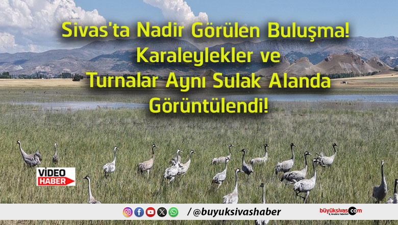 görüntülendi