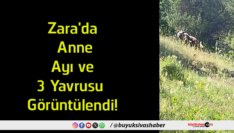 görüntülendi