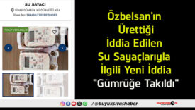 gümrüğe