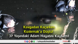hayat