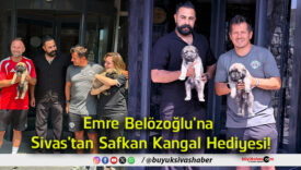 hediye