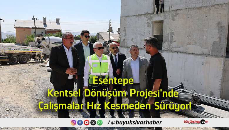 hız