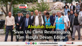 hızıyla