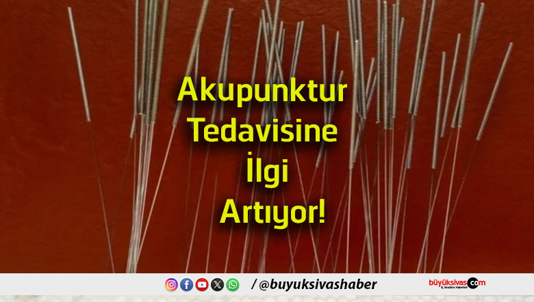 ilgi