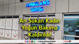 kaldırıldı