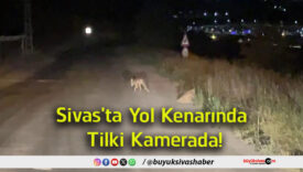 kamera