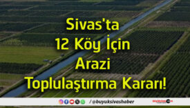 kararı