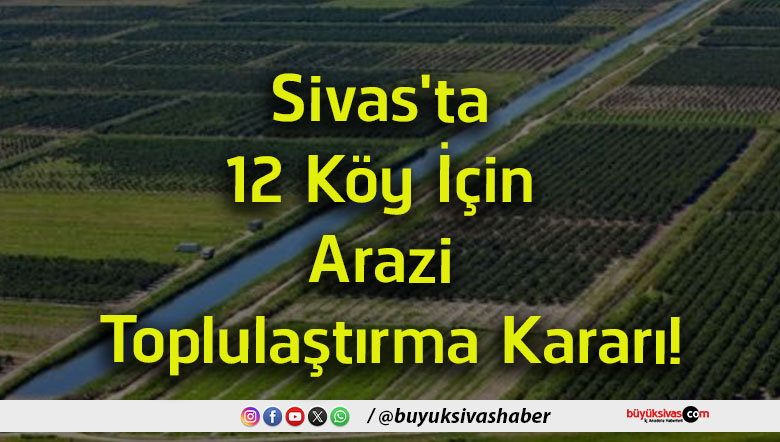 kararı