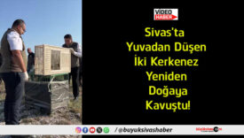 kavuştu
