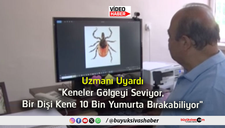 keneler