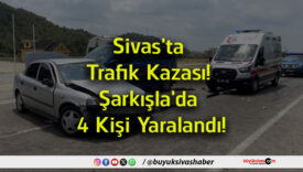 kişi