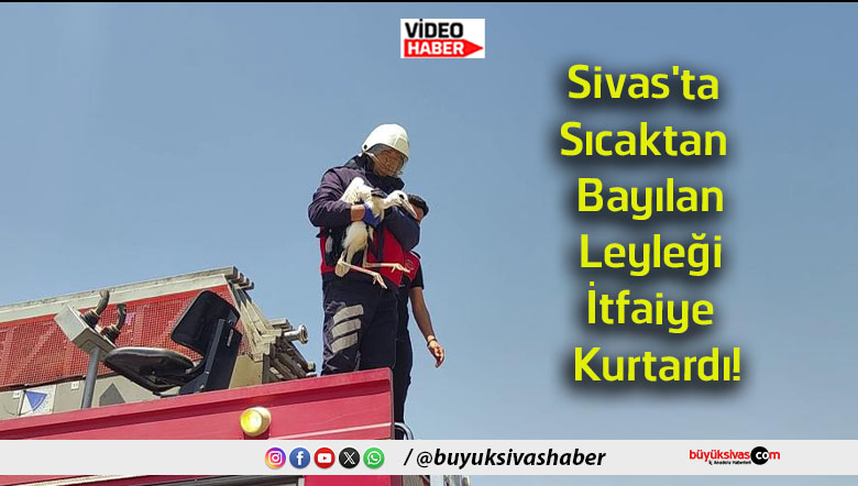 kurtardı