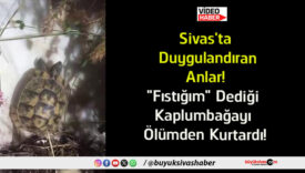 kurtardı