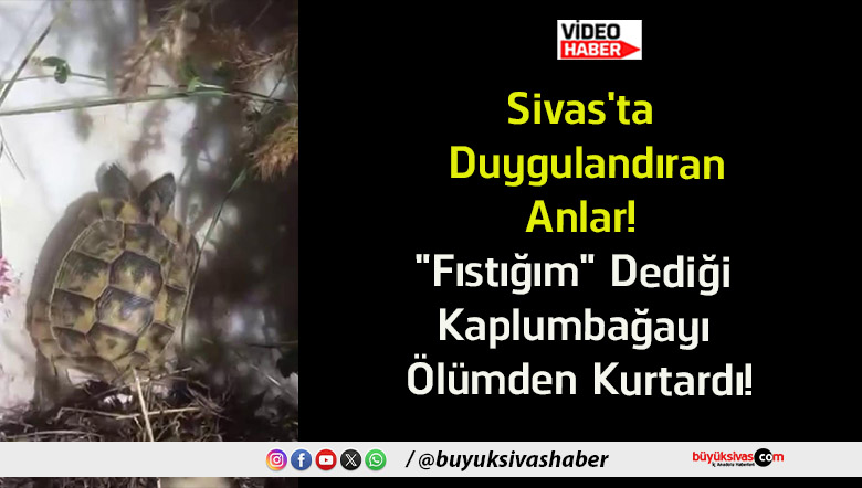 kurtardı