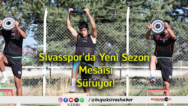 mesaisi