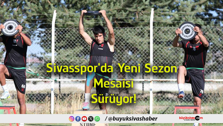 mesaisi