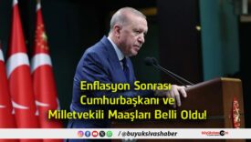 milletvekili