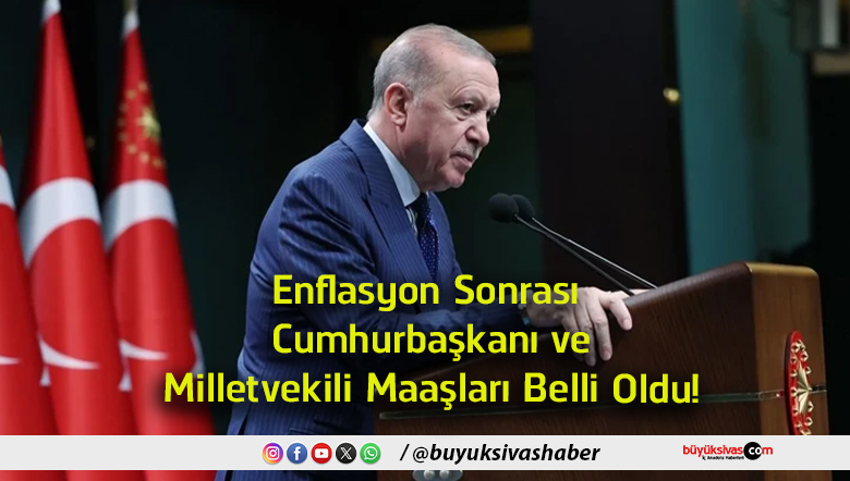 milletvekili
