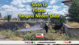 neden