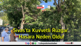 neden