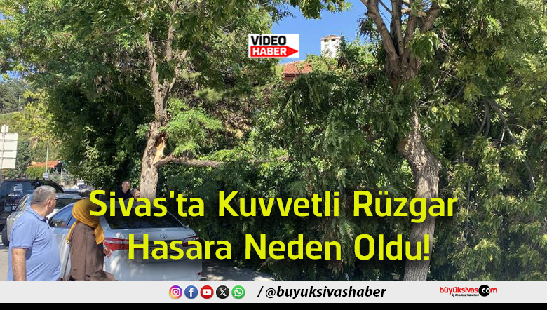 neden