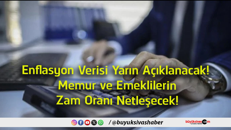 netleştirecek
