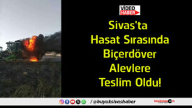 oldu