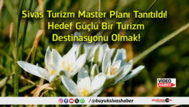 olmak