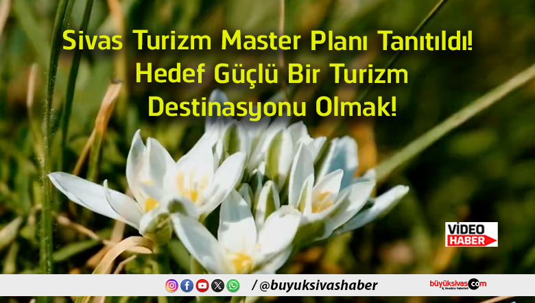 olmak