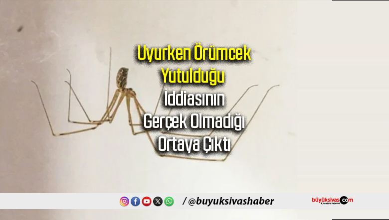 örmümcek