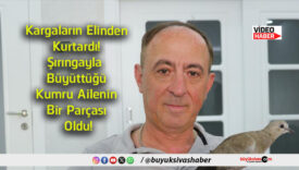 parçası