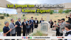 ruhsati