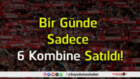 sadece