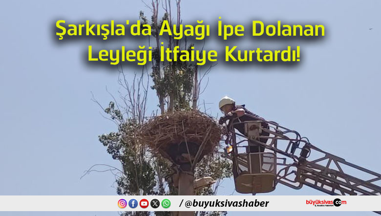 şarkışla