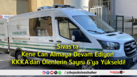 sayısı