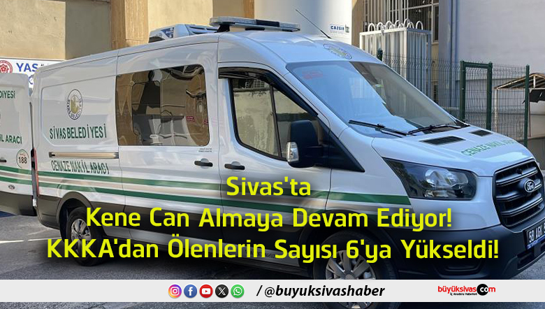 sayısı