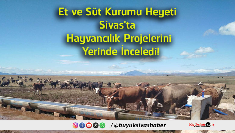 sivas