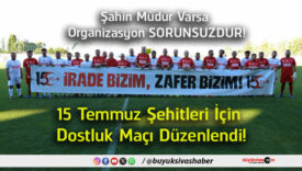 sorunsuz