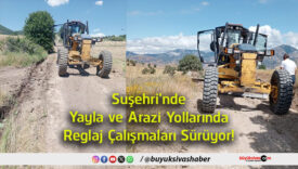 sürüyor