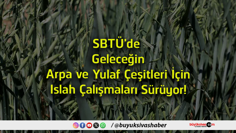 sürüyor