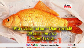 takıldı
