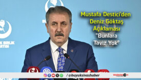 taviz