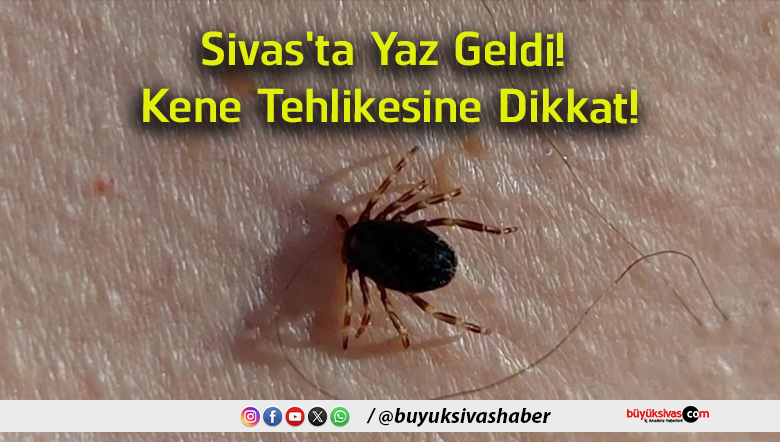 tehlike
