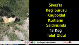 telef