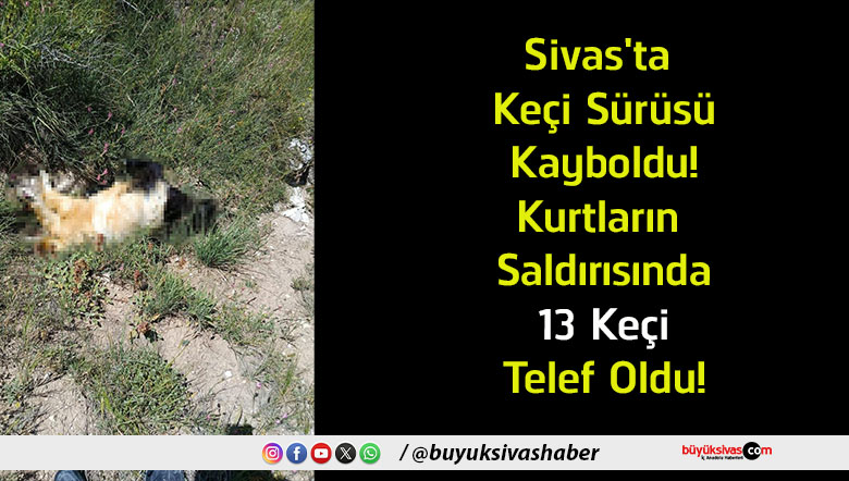 telef